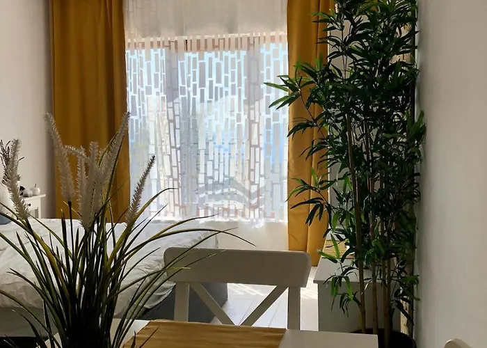 Madera アパート コパオニク